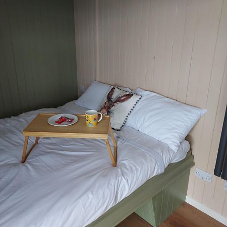 Abbeyview House Bed & Breakfast Abbeyshrule Екстериор снимка