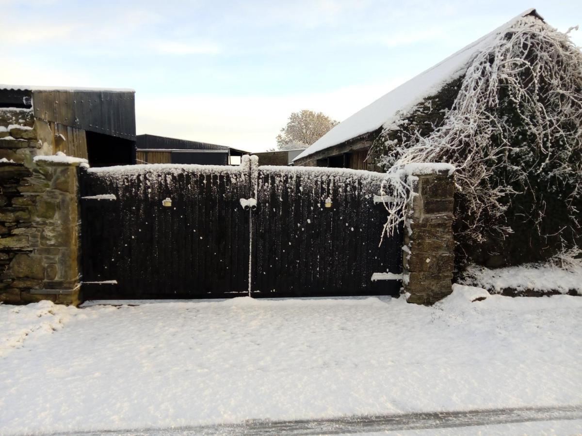 Abbeyview House Bed & Breakfast Abbeyshrule Екстериор снимка