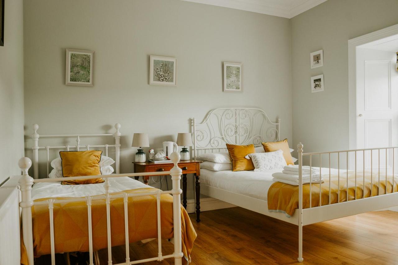 Abbeyview House Bed & Breakfast Abbeyshrule Екстериор снимка